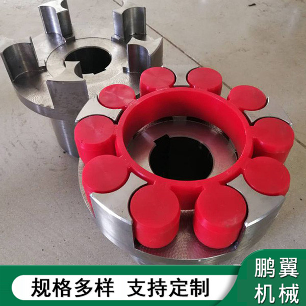 福建5爪ML梅花聯(lián)軸器